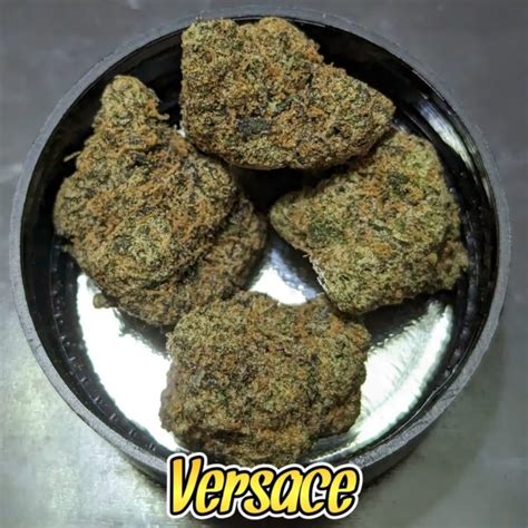 versace lemon|lemon Versace strain.